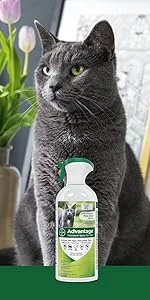 Advantage II Flea Prevention for Cats – Value Pack