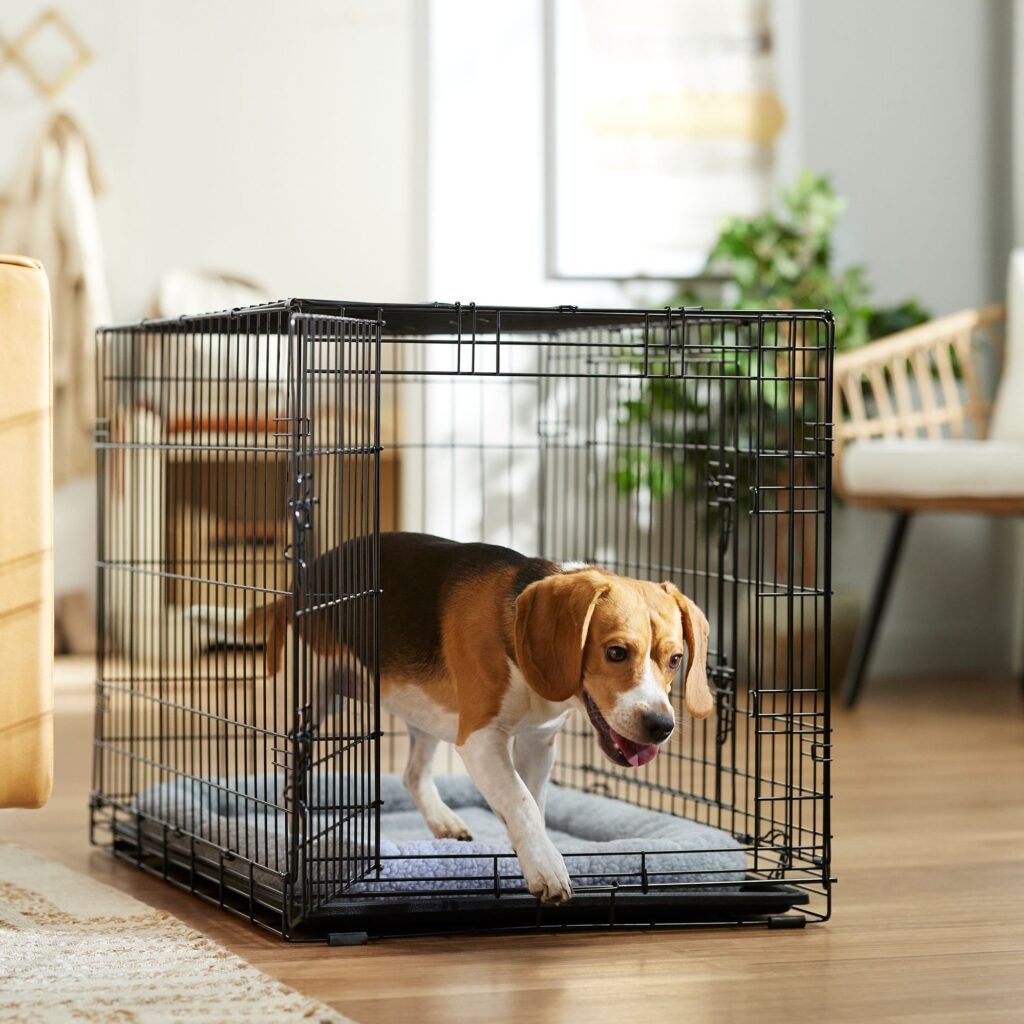 Frisco Fold & Carry Double Door Collapsible Wire Dog Crate – Mega Pack