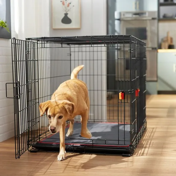 Frisco Fold & Carry Double Door Collapsible Wire Dog Crate – Mega Pack