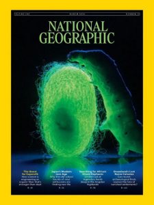 National Geographic Magazine Subscription