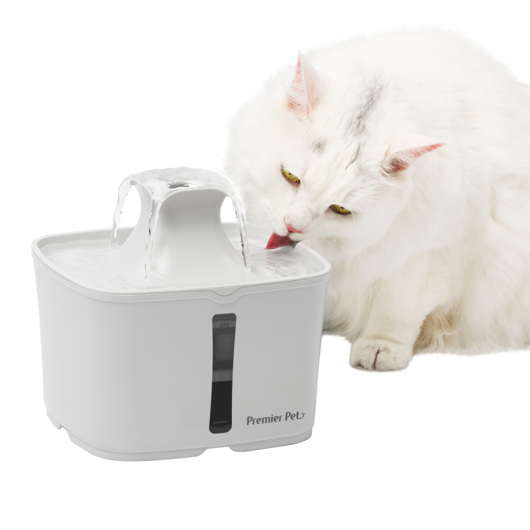 Pet Water Fountain